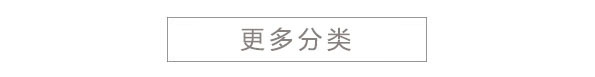 更多分类